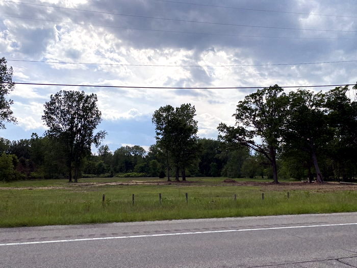 Lakeshore Drive-In Theatre - June 11 2022 Photo